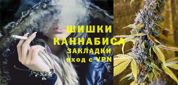 гашик Арсеньев