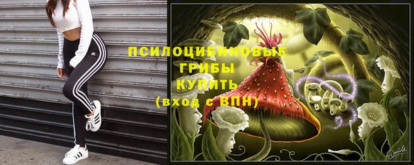 гашик Арсеньев