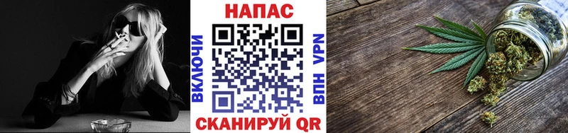 Шишки марихуана семена  закладки  Новоузенск 